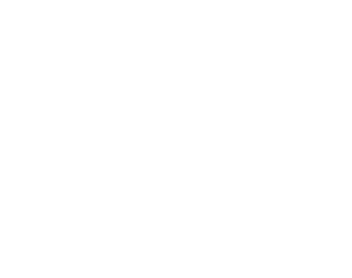Poli Júnior